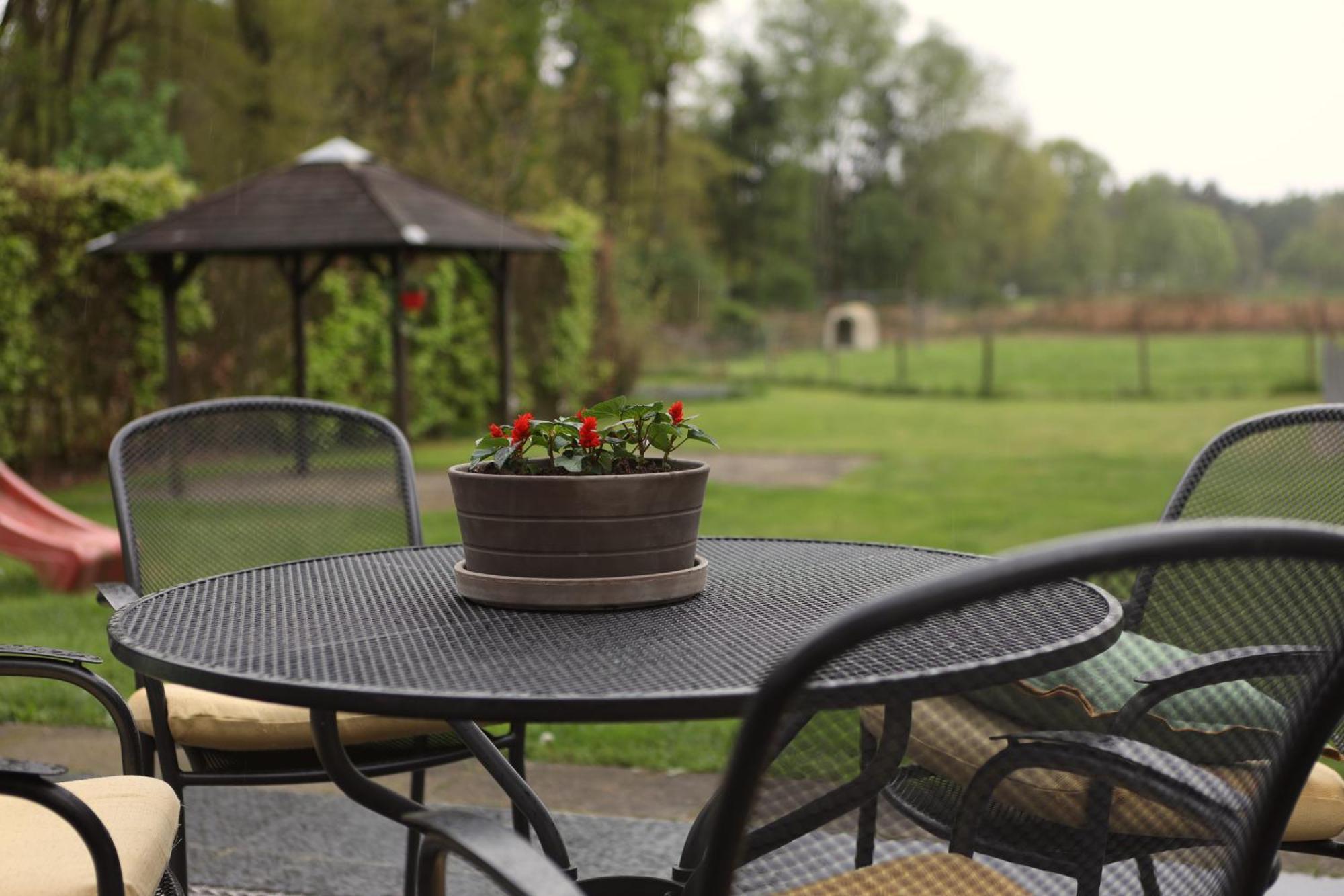 Guesthouse Oeyenbos Knegsel ภายนอก รูปภาพ